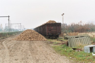 Merchtem - Z40895 -  1988-11-15  Merchtem - Alain Janmart.JPG
